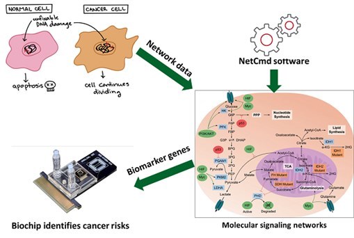 Giảng viên Đại học Công nghiệp Hà Nội công bố phương pháp xác định các Gene chỉ dấu ung thư từ dữ liệu mạng tín hiệu tế bào người.