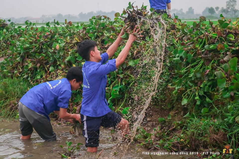 Tuổi trẻ khoa Công nghệ thông tin tình nguyện vì cuộc sống cộng đồng