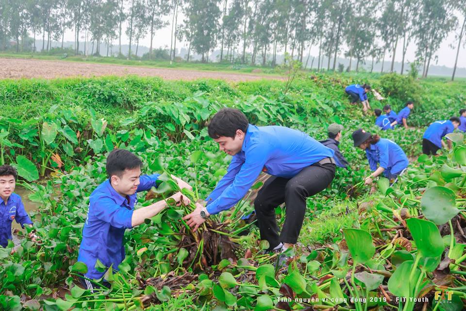 Tuổi trẻ khoa Công nghệ thông tin tình nguyện vì cuộc sống cộng đồng