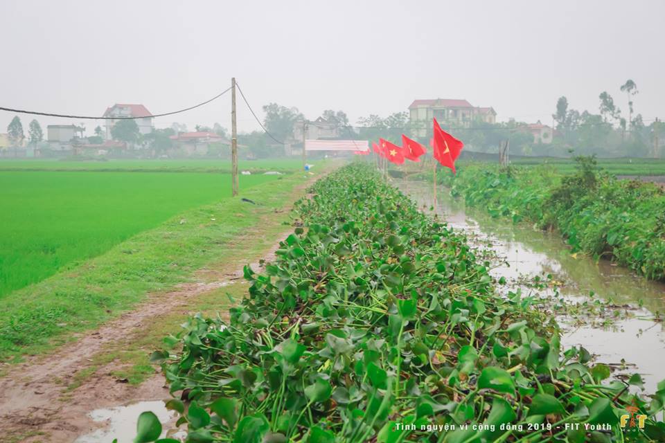 Tuổi trẻ khoa Công nghệ thông tin tình nguyện vì cuộc sống cộng đồng