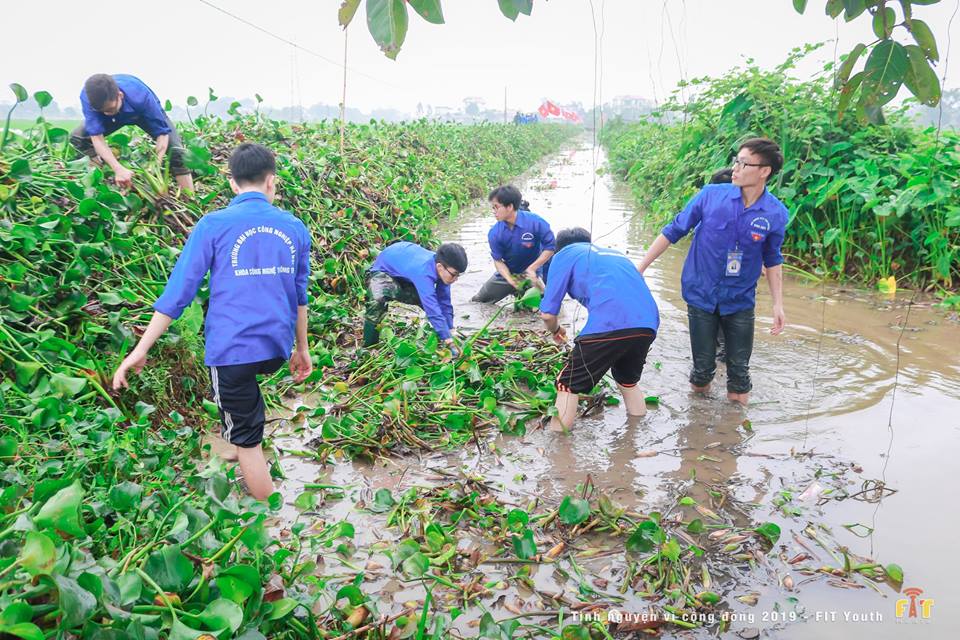 Tuổi trẻ khoa Công nghệ thông tin tình nguyện vì cuộc sống cộng đồng