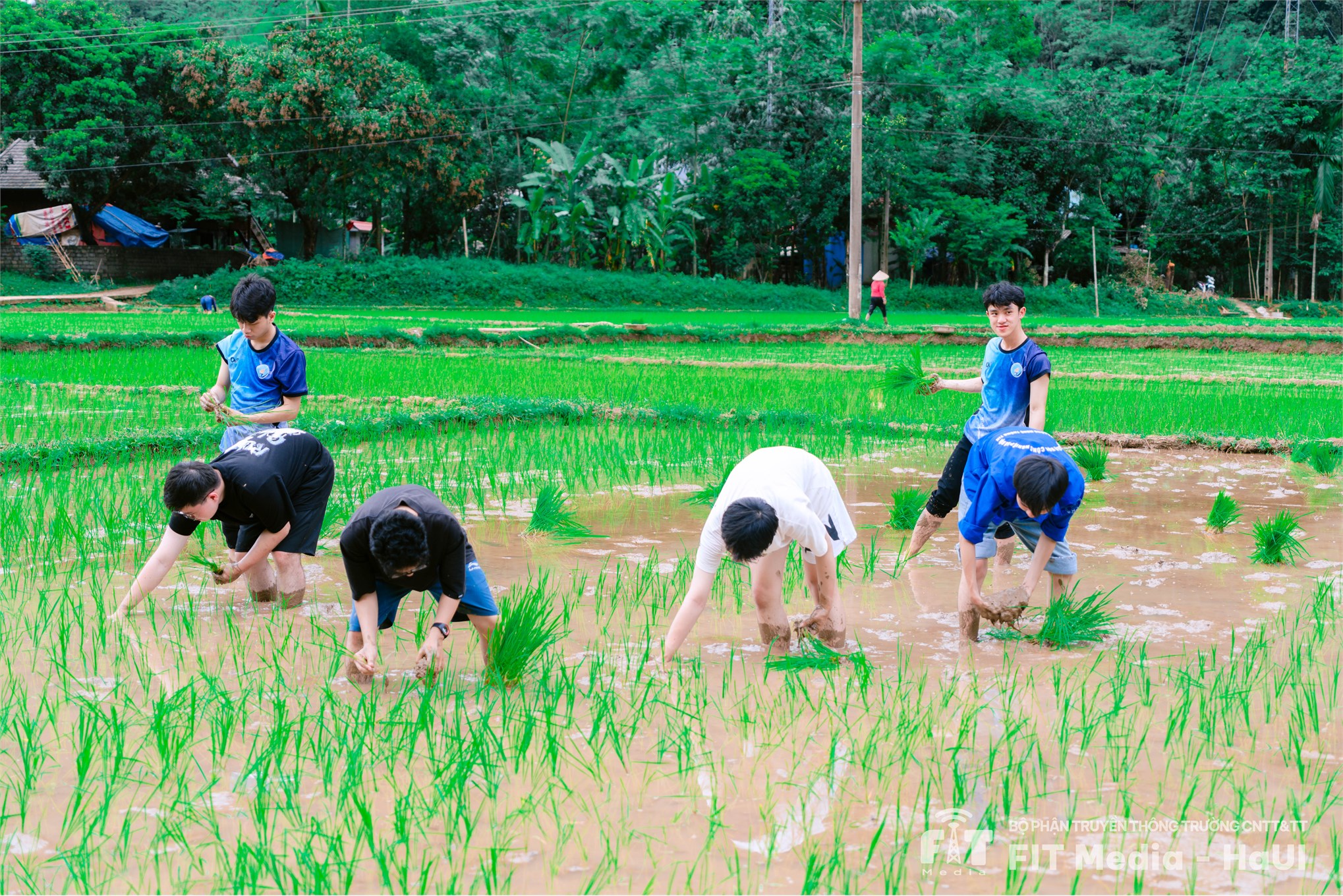 Mùa hè xanh 2025: Hành trình của trái tim và trách nhiệm cộng đồng