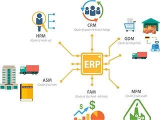 “Hệ thống thông tin doanh nghiệp và ERP” – Lộ trình nghiên cứu chuyên sâu trong chương trình Tiến sĩ