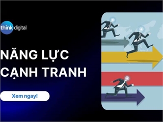 Cơ hội nghề nghiệp và năng lực cạnh tranh sau khi tốt nghiệp