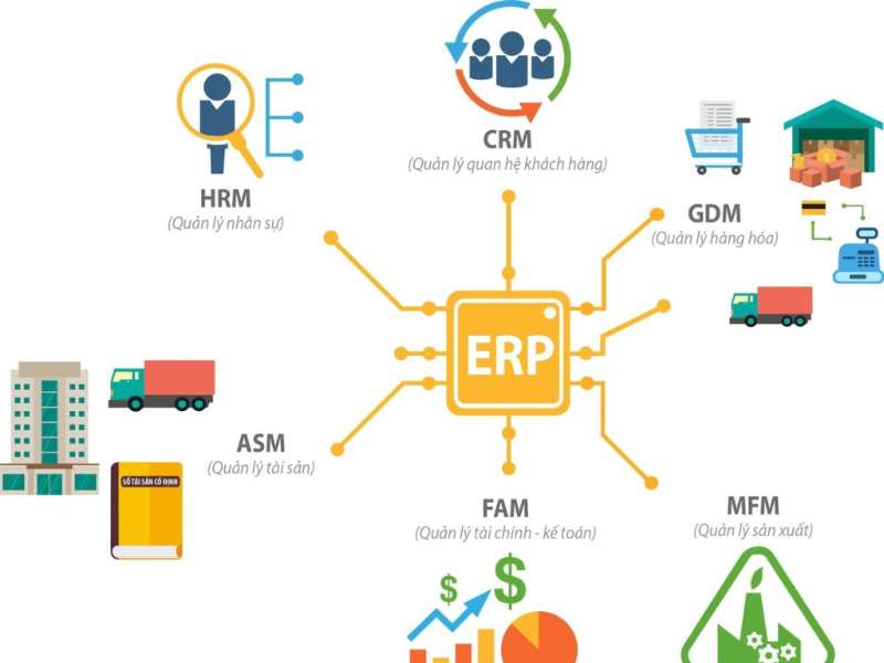 “Hệ thống thông tin doanh nghiệp và ERP” – Lộ trình nghiên cứu chuyên sâu trong chương trình Tiến sĩ
