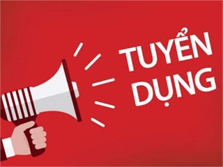 TEFLI Việt Nam tuyển dụng nhân sự CNTT – Cơ hội phát triển dành cho sinh viên và cựu sinh viên